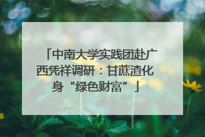 中南大学实践团赴广西凭祥调研：甘蔗渣化身“绿色财富”