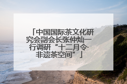 中国国际茶文化研究会副会长张仲灿一行调研“十二月令·非遗茶空间”