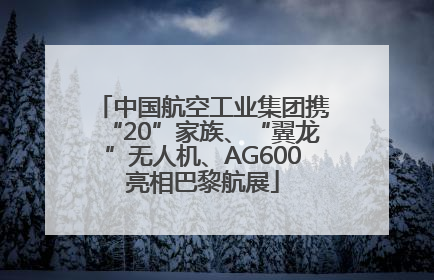 中国航空工业集团携“20”家族、“翼龙”无人机、AG600亮相巴黎航展