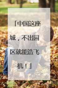 中国这座城，不出园区就能造飞机！