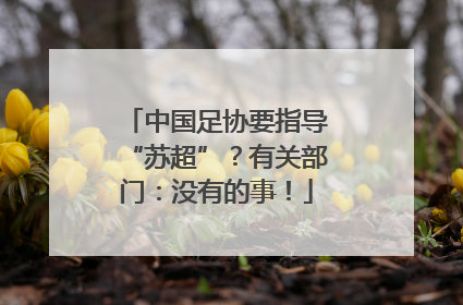中国足协要指导“苏超”？有关部门：没有的事！