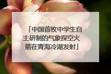 中国首枚中学生自主研制的气象探空火箭在青海冷湖发射