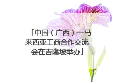 中国（广西）—马来西亚工商合作交流会在吉隆坡举办