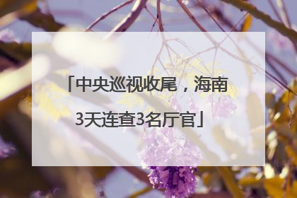 中央巡视收尾，海南3天连查3名厅官