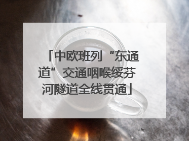 中欧班列“东通道”交通咽喉绥芬河隧道全线贯通