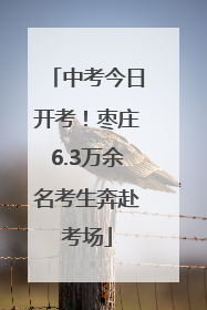 中考今日开考！枣庄6.3万余名考生奔赴考场