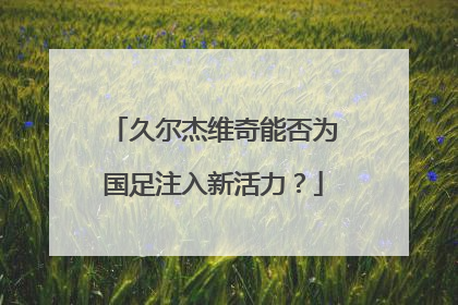 久尔杰维奇能否为国足注入新活力？