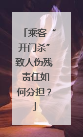 乘客“开门杀”致人伤残 责任如何分担？