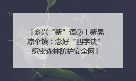 乡兴“新”语②丨新晃凉伞镇：念好“四字诀” 织密森林防护安全网