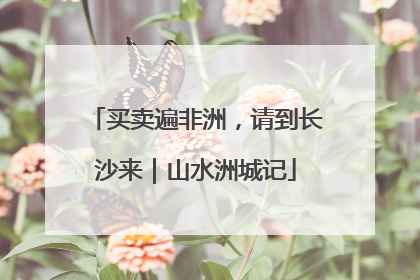 买卖遍非洲，请到长沙来｜山水洲城记