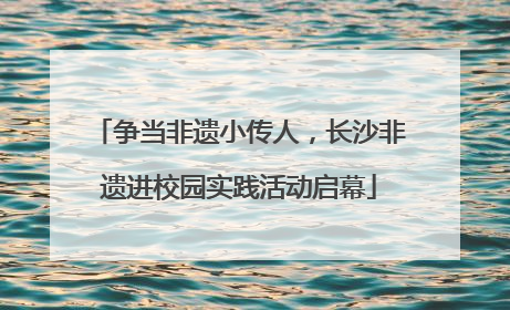 争当非遗小传人，长沙非遗进校园实践活动启幕