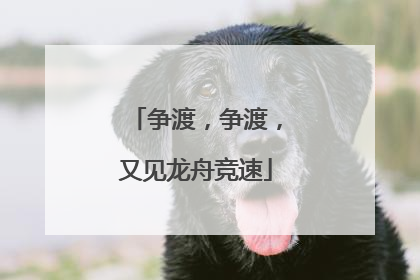 争渡，争渡，又见龙舟竞速