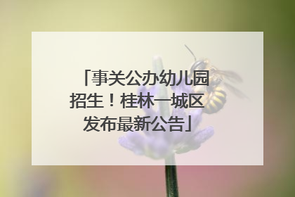事关公办幼儿园招生！桂林一城区发布最新公告