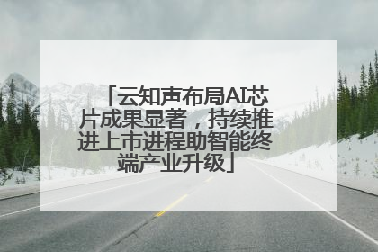 云知声布局AI芯片成果显著，持续推进上市进程助智能终端产业升级