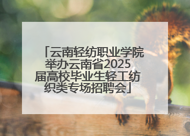 云南轻纺职业学院举办云南省2025届高校毕业生轻工纺织类专场招聘会