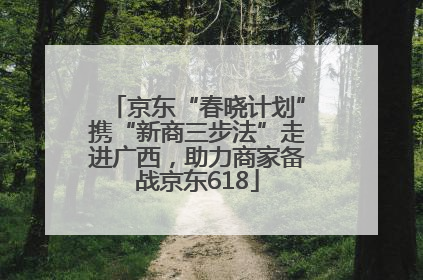 京东“春晓计划”携“新商三步法”走进广西，助力商家备战京东618