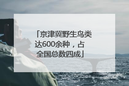 京津冀野生鸟类达600余种，占全国总数四成