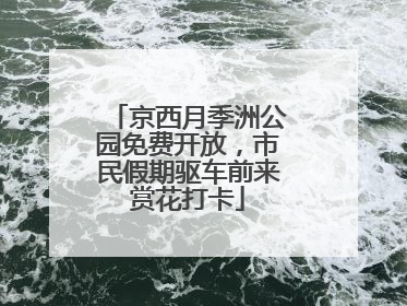 京西月季洲公园免费开放，市民假期驱车前来赏花打卡