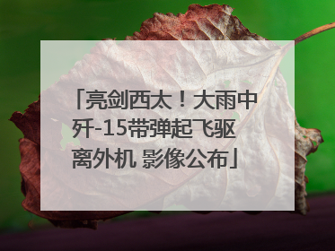 亮剑西太！大雨中歼-15带弹起飞驱离外机 影像公布
