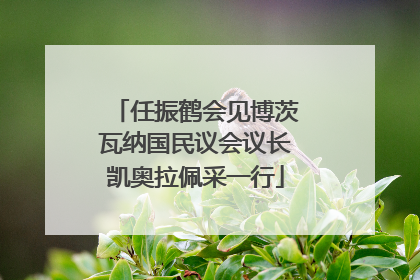 任振鹤会见博茨瓦纳国民议会议长凯奥拉佩采一行