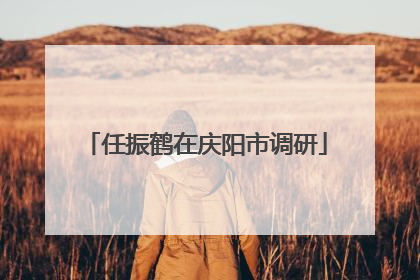 任振鹤在庆阳市调研