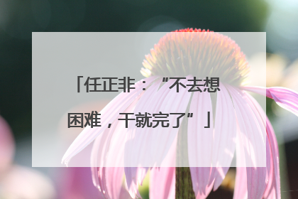 任正非：“不去想困难，干就完了”