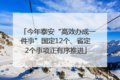 今年泰安“高效办成一件事”国定12个、省定2个事项正有序推进