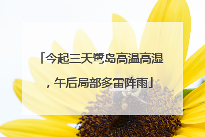 今起三天鹭岛高温高湿，午后局部多雷阵雨