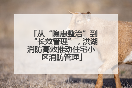 从“隐患整治”到“长效管理”，洪湖消防高效推动住宅小区消防管理