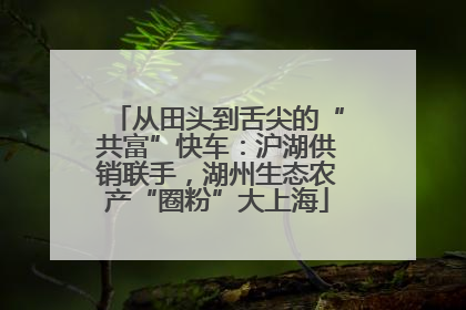 从田头到舌尖的“共富”快车：沪湖供销联手，湖州生态农产“圈粉”大上海