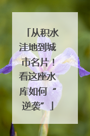 从积水洼地到城市名片！看这座水库如何“逆袭”