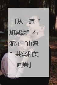 从一道“加减题”看浙江“山海”共富和美画卷