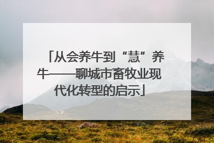 从会养牛到“慧”养牛——聊城市畜牧业现代化转型的启示