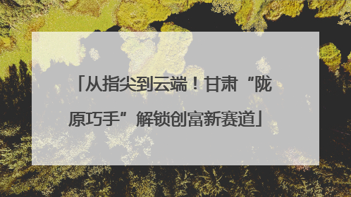 从指尖到云端！甘肃“陇原巧手”解锁创富新赛道