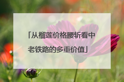 从榴莲价格腰斩看中老铁路的多重价值
