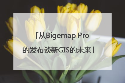 从Bigemap Pro的发布谈新GIS的未来
