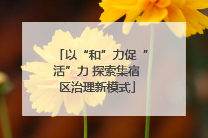 以“和”力促“活”力 探索集宿区治理新模式