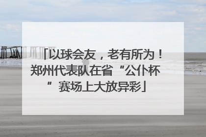 以球会友，老有所为！郑州代表队在省“公仆杯”赛场上大放异彩