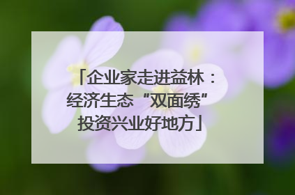 企业家走进益林：经济生态“双面绣” 投资兴业好地方