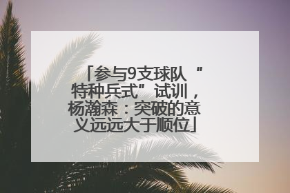 参与9支球队“特种兵式”试训，杨瀚森：突破的意义远远大于顺位