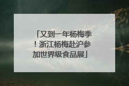 又到一年杨梅季！浙江杨梅赴沪参加世界级食品展