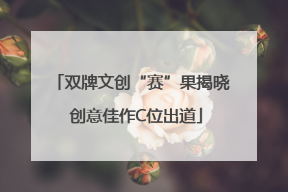 双牌文创“赛”果揭晓 创意佳作C位出道