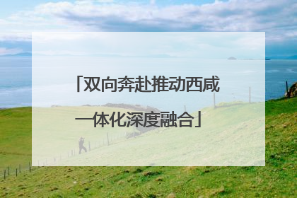 双向奔赴推动西咸一体化深度融合