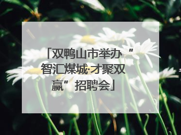 双鸭山市举办“智汇煤城·才聚双赢”招聘会