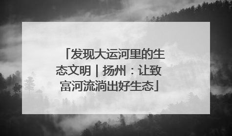 发现大运河里的生态文明｜扬州：让致富河流淌出好生态