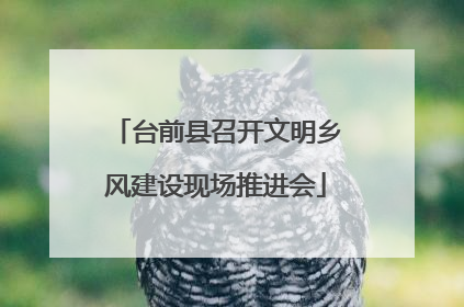 台前县召开文明乡风建设现场推进会