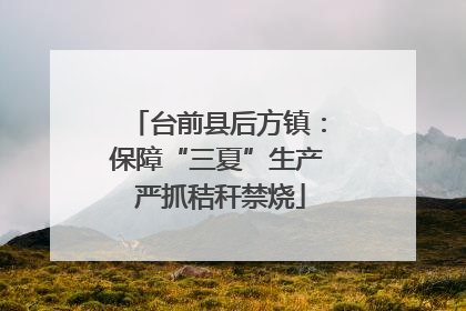 台前县后方镇：保障“三夏”生产 严抓秸秆禁烧
