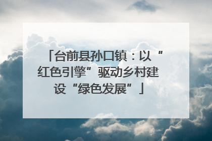台前县孙口镇：以“红色引擎”驱动乡村建设“绿色发展”