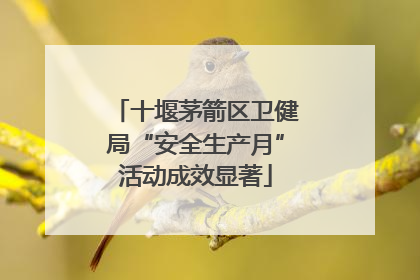 十堰茅箭区卫健局“安全生产月”活动成效显著