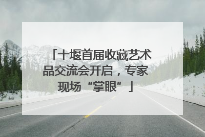 十堰首届收藏艺术品交流会开启，专家现场“掌眼”